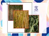 人美版（北京）美术三下 第16课《秸秆造型》课件