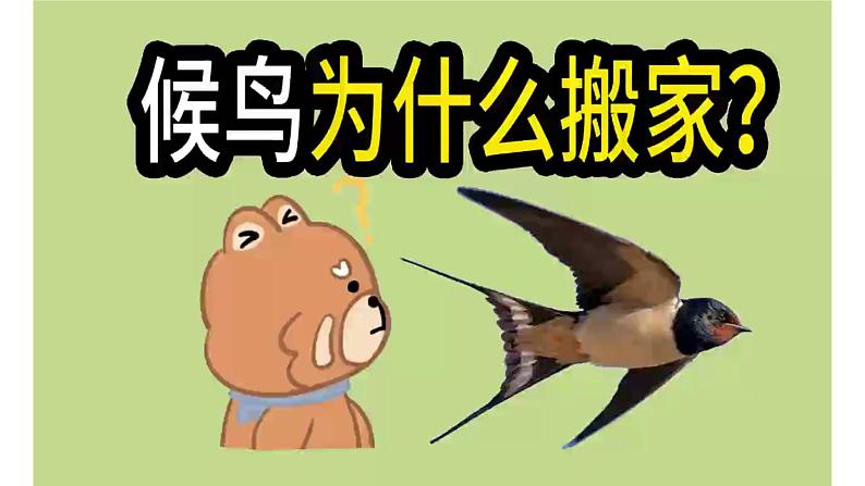 美术人教版一年级下册 第二课《春天的使者》课件第5页