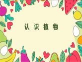 美术人教版一年级下册 第4课《自然的馈赠》课件+教案