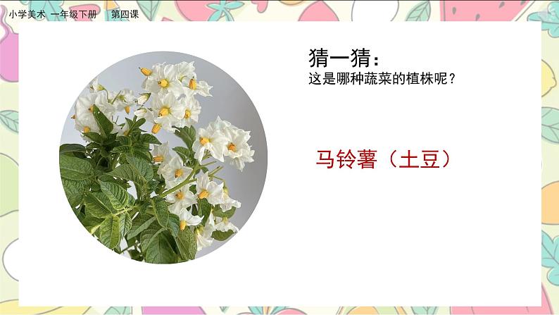 美术人教版一年级下册 第四课《自然的馈赠》课件第6页