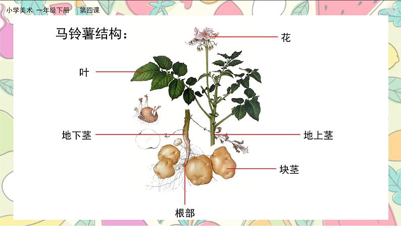 美术人教版一年级下册 第四课《自然的馈赠》课件第8页