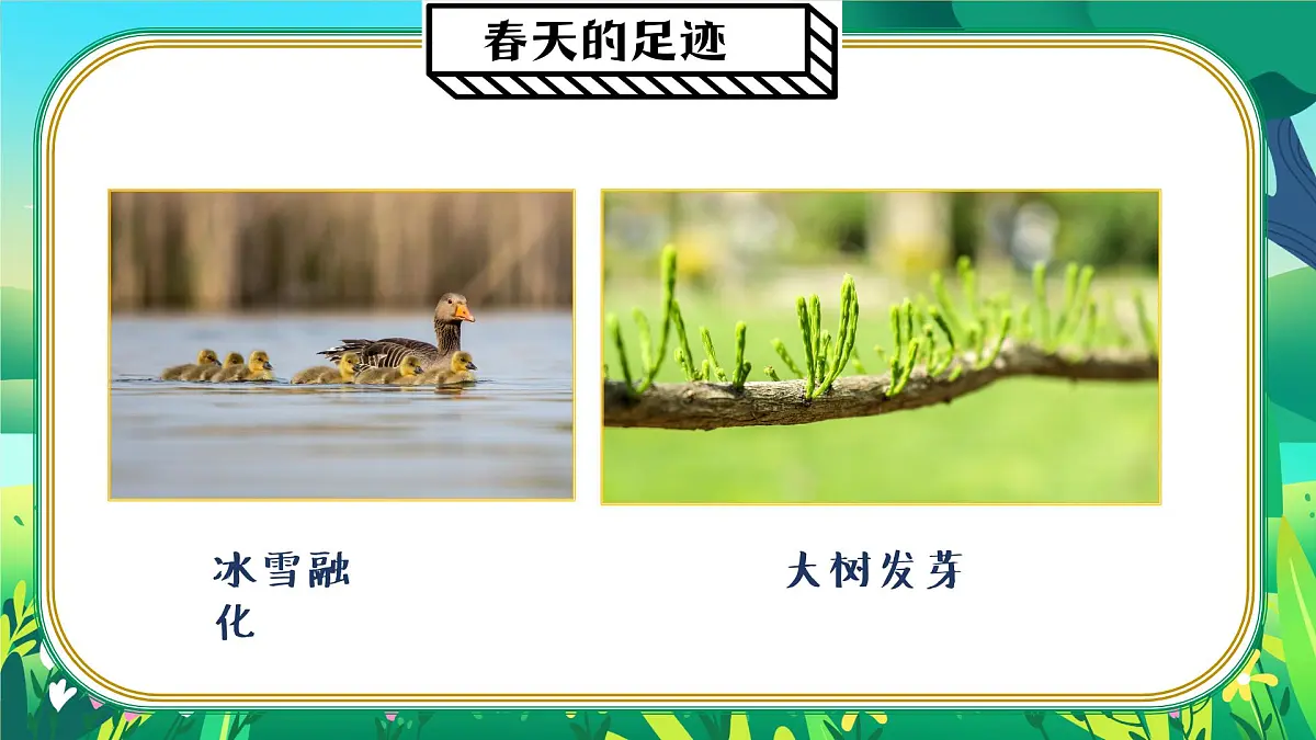 人教版一年级下册美术第一单元第一课春天在哪里ppt第7页