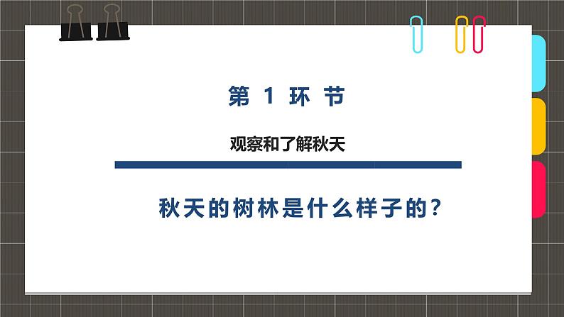 334、《5-8岁年龄段树林里的小兔子》+课件第3页