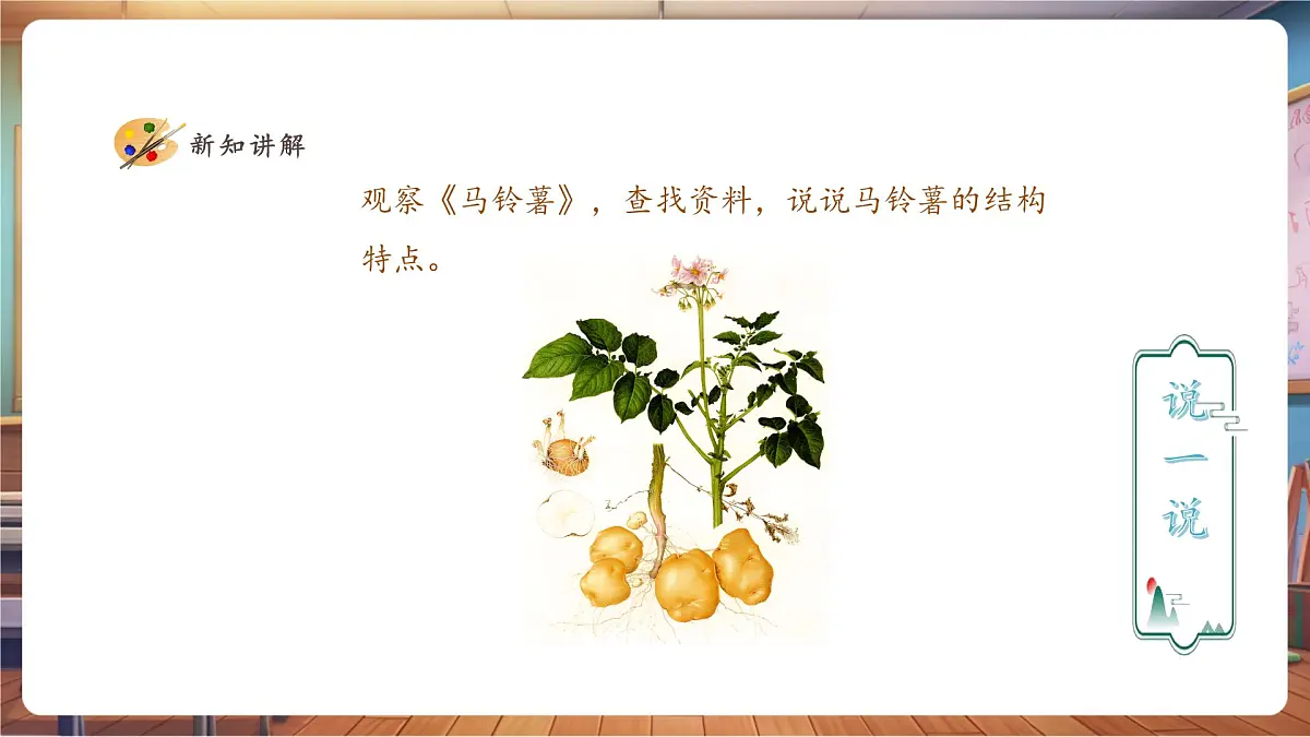 【人教版】美术 一年级下册 第一单元 第四课 《自然的馈赠》 课件（27页）第4页