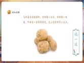 【核心素養(yǎng)優(yōu)質(zhì)課】人教版美術(shù)一年級(jí)下冊(cè)第1單元第4課《自然的饋贈(zèng)》教學(xué)課件+同步教案