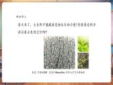 【新教材核心素养】浙美版美术一年级下册第2课《万物生长》教学课件+同步教案+素材
