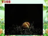 人美版（2024）美術(shù)一年級下冊第一課《春天在哪里》教案+課件+素材