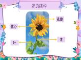 湘美版（2024）美術(shù)一年級(jí)下冊(cè) 1.2 花朵之美（課件+教學(xué)設(shè)計(jì)）