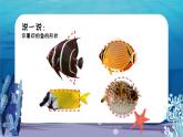 湘美版（2024）美術一年級下冊 1.4 對稱的魚形（課件+教學設計）