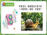 湘美版（2024）美術(shù)一年級(jí)下冊(cè) 3.1 小蝸牛慢慢爬（課件+教學(xué)設(shè)計(jì)）
