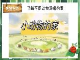 湘美版（2024）美術一年級下冊 3.2 動物回家（課件+教學設計）