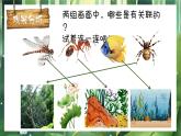 湘美版（2024）美術一年級下冊 3.2 動物回家（課件+教學設計）