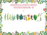 人美版（2024）美術(shù)一年級下冊 2.1《花花草草》(課件+教學(xué)設(shè)計）
