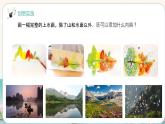 人美版（2024）美術(shù)一年級下冊 2.2《山山水水》(課件+教學(xué)設(shè)計）