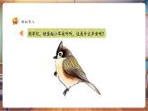 【新教材核心素养】湘美版美术一年级下册第1单元第3课《可爱的小鸟》课件+同步教案