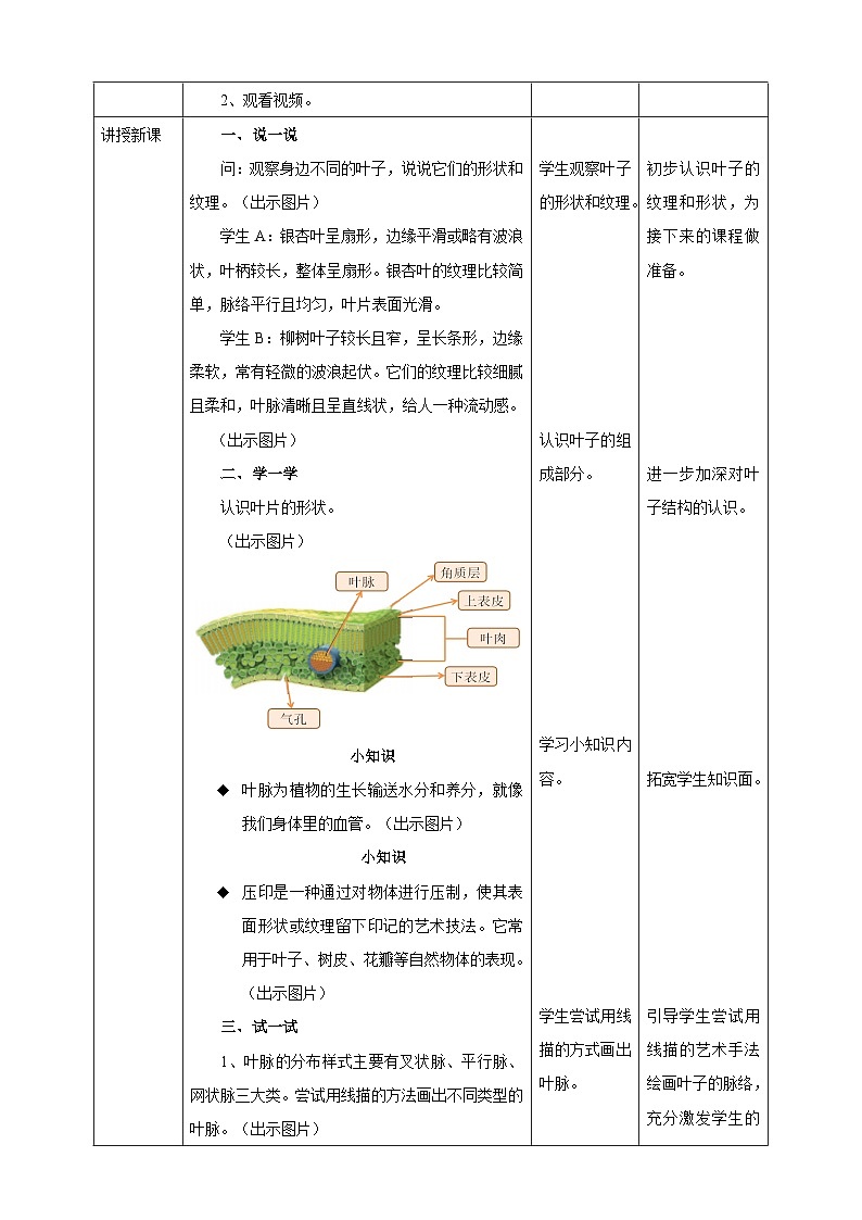【浙美版】 一年级下册第二单元 3.叶子的纹理  课时核心素养教案第2页