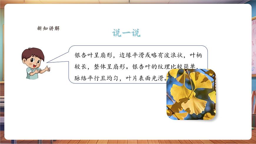 【浙美版】美术  一年级下册    第二单元  第1课《叶子的纹理》课件（31页）第6页