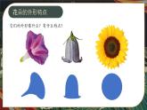 2024-2025學(xué)年湘美版美術(shù)一年級(jí)下冊(cè)1.2《花朵之美》課件+素材
