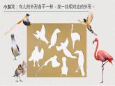2024-2025學(xué)年湘美版美術(shù)一年級(jí)下冊(cè)1.3《可愛(ài)的小鳥(niǎo)》課件+素材
