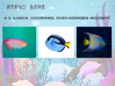 2024-2025學(xué)年湘美版美術(shù)一年級(jí)下冊(cè)1.4《對(duì)稱的魚(yú)形》課件+素材