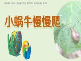 2024-2025學(xué)年湘美版美術(shù)一年級(jí)下冊(cè)3.1《小蝸牛慢慢爬》課件+素材