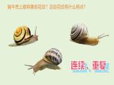 2024-2025學(xué)年湘美版美術(shù)一年級(jí)下冊(cè)3.1《小蝸牛慢慢爬》課件+素材