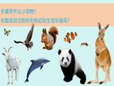 2024-2025學(xué)年湘美版美術(shù)一年級下冊3.2《動物回家》課件+素材