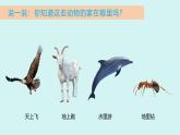 2024-2025學(xué)年湘美版美術(shù)一年級下冊3.2《動物回家》課件+素材
