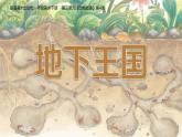 2024-2025學年湘美版美術一年級下冊3.4《地下王國》課件+素材
