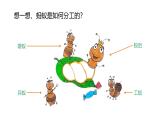 2024-2025學年湘美版美術一年級下冊3.4《地下王國》課件+素材