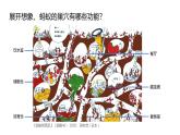 2024-2025學年湘美版美術一年級下冊3.4《地下王國》課件+素材