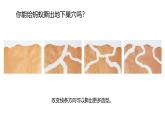 2024-2025學年湘美版美術一年級下冊3.4《地下王國》課件+素材