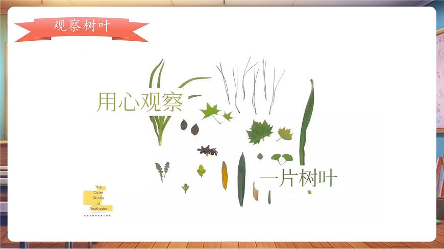 岭南版一下 第一单元第3课《春天的脚印》课件（25页 内嵌多个视频）第8页