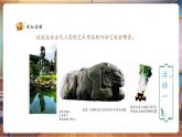 【核心素養(yǎng)優(yōu)質(zhì)課】人教版美術(shù)一年級(jí)下冊(cè)第2單元第2課《前人的巧思》教學(xué)課件+同步教案+視頻2