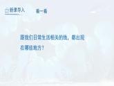 人教版美術(shù)六上 第4課 線與造型 課件