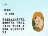第8課 鳥語花香 課件 人教版 美術(shù)五年級上冊