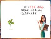 【新教材核心素養(yǎng)】嶺南版美術(shù)一年級下冊第4課《樹葉的故事》教學(xué)課件+同步教案