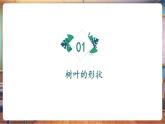 【新教材核心素養(yǎng)】嶺南版美術(shù)一年級下冊第4課《樹葉的故事》教學(xué)課件+同步教案