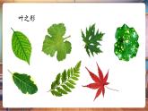 【新教材核心素養(yǎng)】嶺南版美術(shù)一年級下冊第4課《樹葉的故事》教學(xué)課件+同步教案
