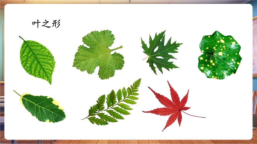岭南版（新教材）一下 第一单元第4课《树叶的故事》课件（23页 内嵌视频）第5页