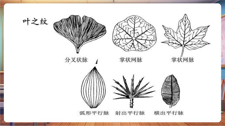 岭南版（新教材）一下 第一单元第4课《树叶的故事》课件（23页 内嵌视频）第8页