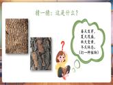 【新教材核心素養(yǎng)】嶺南版美術(shù)一年級(jí)下冊(cè)第5課《陽光下成長》教學(xué)課件+同步教案