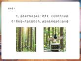 【核心素養(yǎng)優(yōu)質(zhì)課】嶺南版美術(shù)六下第4單元第9課《會(huì)打鼓的鳥》課件+同步教案+視頻2