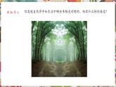 【核心素養(yǎng)優(yōu)質課】人美版美術四年級下冊第6課《巧用對稱形》教學課件+同步教案+素材