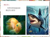 【核心素養(yǎng)優(yōu)質(zhì)課】人美版美術(shù)四年級(jí)下冊(cè)第9課《用彩墨畫(huà)魚(yú)》教學(xué)課件+同步教案+素材