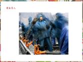 【核心素養(yǎng)優(yōu)質課】人美版美術四年級下冊第19課《電腦美術—你追我趕》教學課件+同步教案+素材