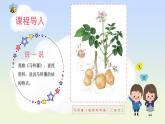 藝術(shù) 造型·美術(shù) 一年級(jí) 下冊(cè)（人教版）第1單元 第4課 自然的饋贈(zèng) PPT
