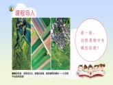 藝術(shù) 造型·美術(shù) 一年級(jí) 下冊(cè)（人教版）第1單元 第3課 大地的肌理 PPT