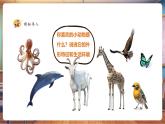 【新教材核心素養(yǎng)】湘美版美術(shù)一年級下冊第3單元第2課《動物回家》課件+教案+視頻4