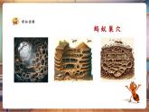 【新教材核心素養(yǎng)】湘美版美術(shù)一年級下冊第3單元第4課《地下王國》課件+教案+視頻